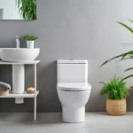 تفاوت توالت فرنگی وال‌ هنگ با توالت فرنگی پایه‌ دار